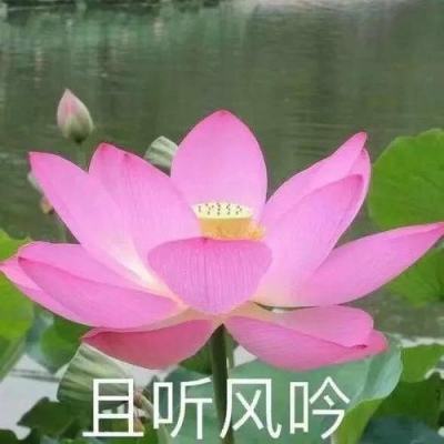kaiyun平台官方app